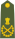 印度陆军元帅肩章