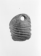 Durchlochter Trilobit