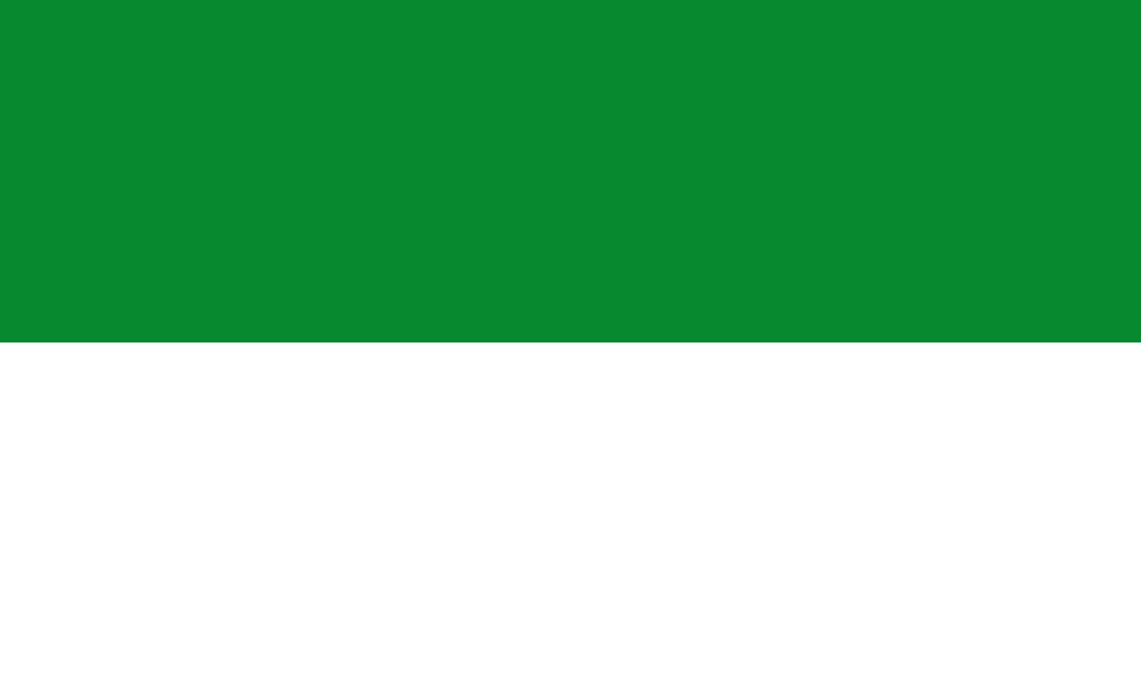 Archivo:Flag green white 5x3.svg - Wikipedia, la enciclopedia libre