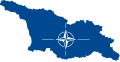 wikitech:File:Georgia-Nato.svg