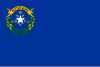 Bandera de Nevada