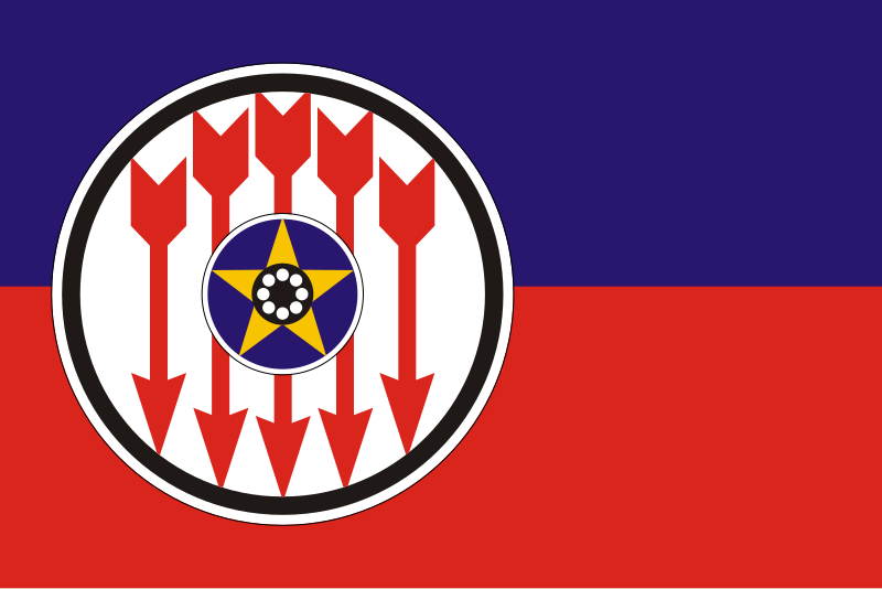 File:Flag of RENAMO.svg