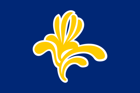 Fail:Flag_Belgium_brussels.svg