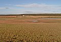 Flooded farmland towards Milton of Balnagowan (farm) - geograph.org.uk - 281085.jpg