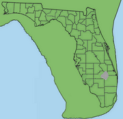Florida during the Calabrian glaciation of 2.5 million years ago. Florida 2.5mya.png