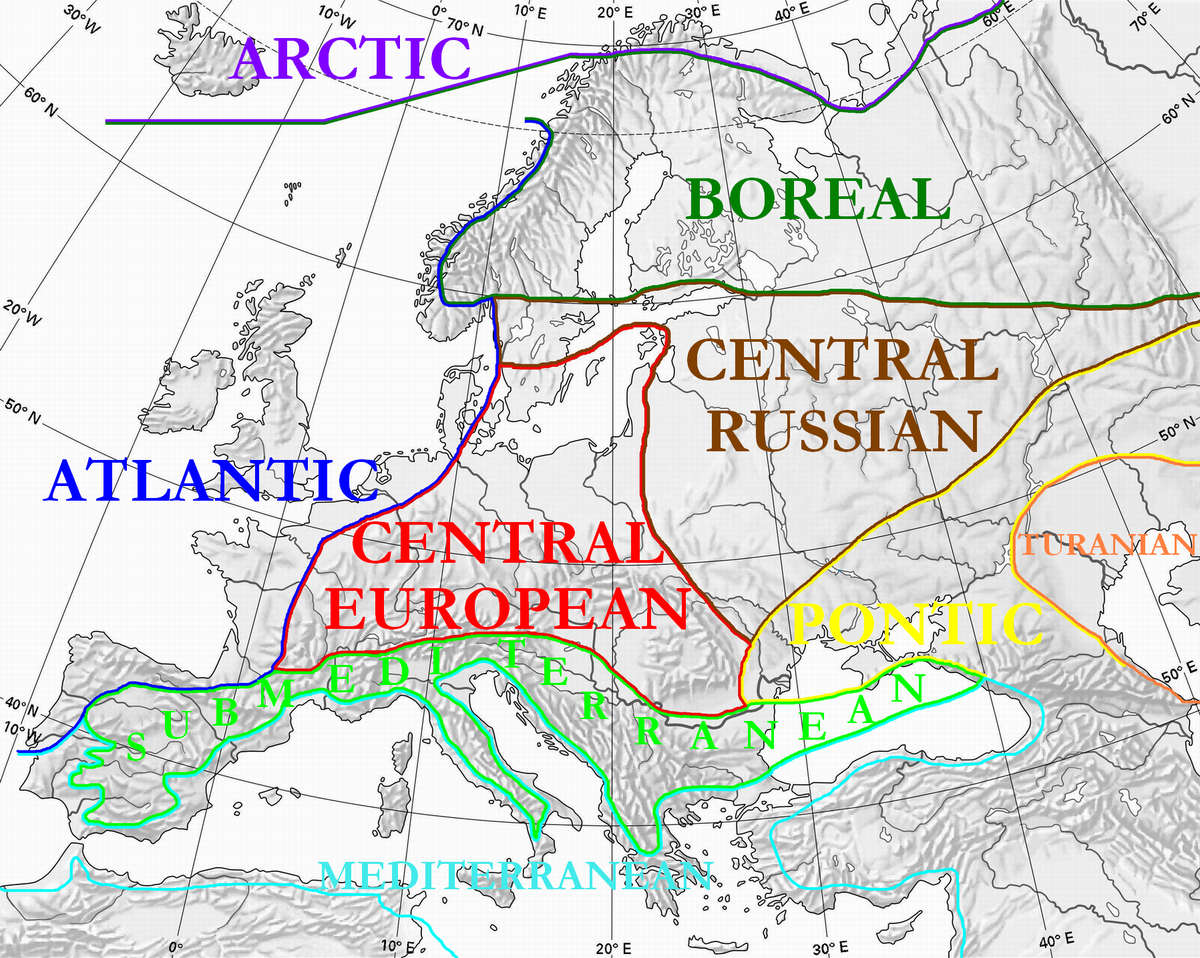 Life zones of central Europe