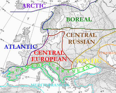 Circumboreal Region