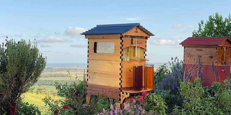 File:Flow hive 2 with honey jars.jpg