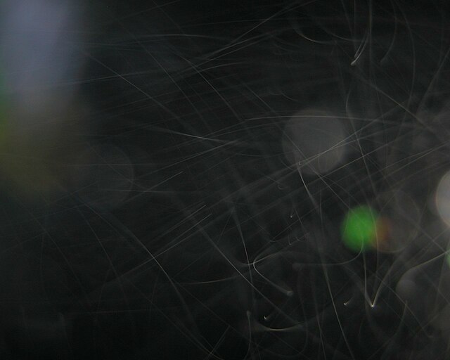 Minute droplets of water constitute this after-dark radiation fog, with an ambient temperature of −2 °C (28 °F). Their motion trails are captured as s