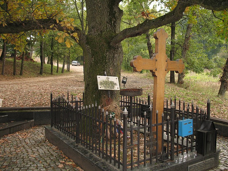 File:Former Karađorđe Grave.jpg