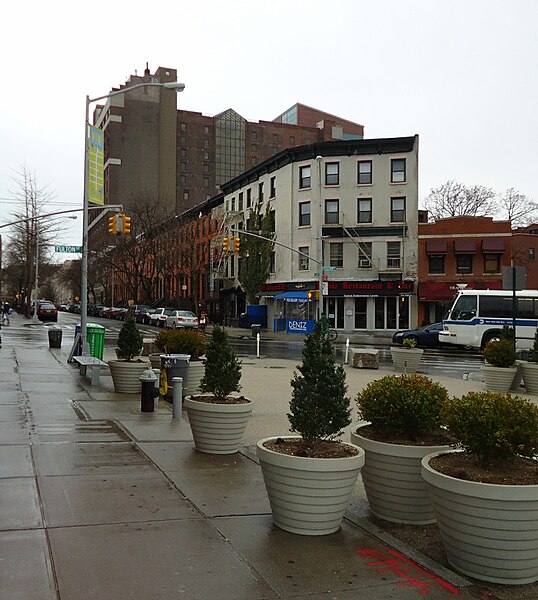 File:Fort Greene Brooklyn NY assorted photos near Fulton Street 7 streets and planters.jpg