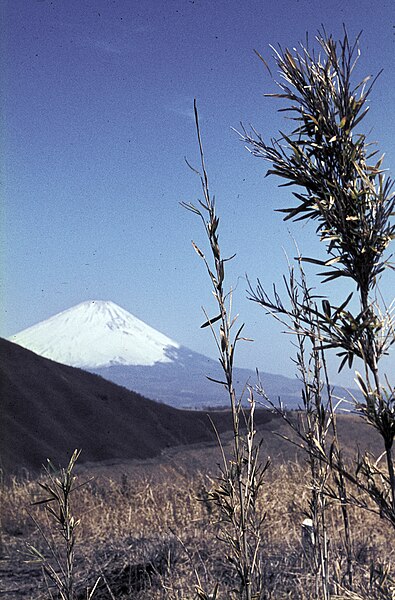 File:Fujisan-015 hg.jpg