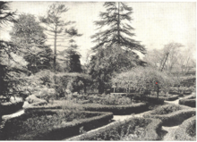 Chicora College for Women gardens, 1916 Gardens of the Chicora College for Women in Columbia, South Carolina, 1916.png