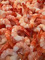 shrimp