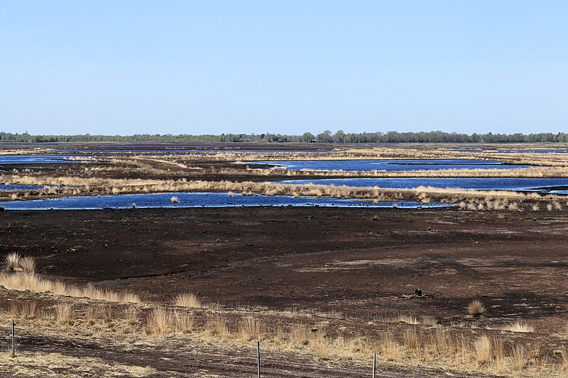 File:Geeste - Dalum-Wietmarscher Moor (Aussichtshügel) 05 ies.jpg