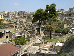 Vue générale excavations.jpg