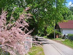 Am Zernsee in Potsdam