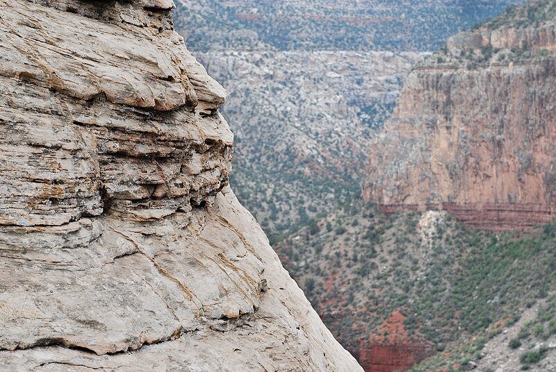 File:Grand Canyon National Park Coconino Sandstone 0768 (7695164518).jpg