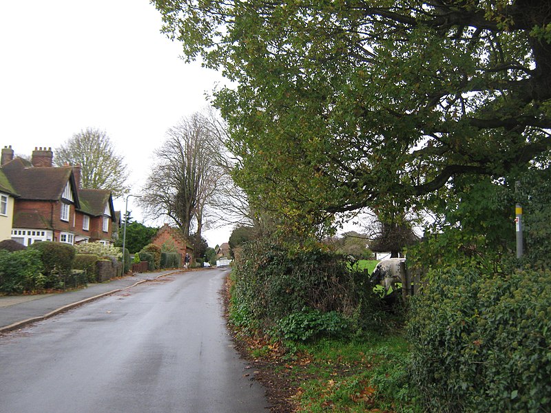 File:Grange Road - geograph.org.uk - 2161205.jpg