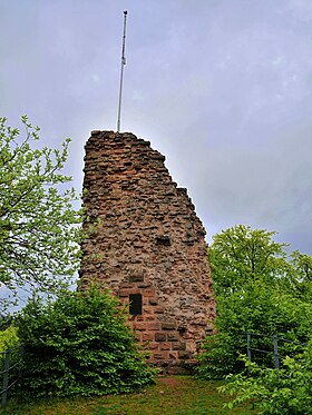 Illustrasjonsbilde av artikkelen Château de Guttenberg