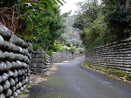 ไฟล์:Hachijojima_tamaishigaki_2007-03-20.jpg