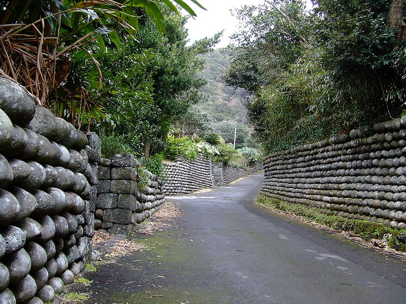 File:Hachijojima tamaishigaki 2007-03-20.jpg