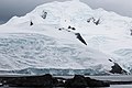 Half Moon Bay Antarctica 2 (46613345474).jpg