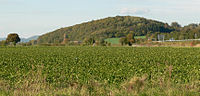 Vorschaubild für Burg Heineburg