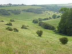 Dno svinjske litice - geograph.org.uk - 551832.jpg