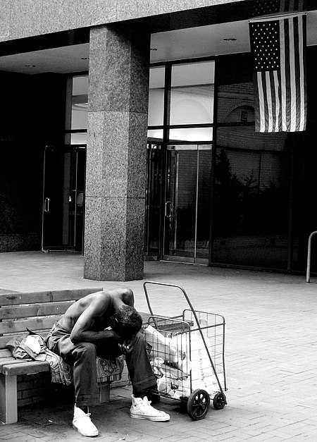 ไฟล์:Homeless - American Flag.jpg