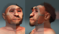 Homo erectus pekinensis, forensic facial reconstruction.png