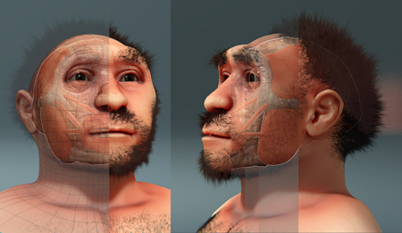 Tập_tin:Homo_erectus_pekinensis,_forensic_facial_reconstruction.png