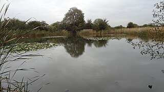 <span class="mw-page-title-main">The Chase Nature Reserve</span>