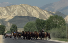 Moving horse herd in Kyrgyzstan, 2019 Horses on the move-Kirghizistan - Flickr - chachasarra.png