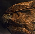 Tělo ženy z Huldremose v expozici Národního muzea Dánska