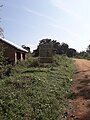 Humedal de Mabamba (Uganda) - zona junto al embarcadero 20190915 095824.jpg