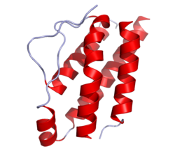 Structure cristalline IL2.png