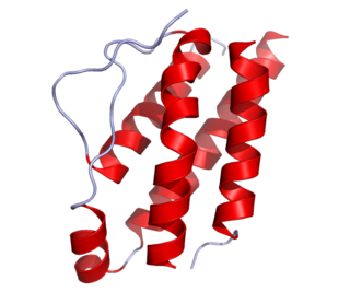 <span class="mw-page-title-main">Interleukin 2</span> Mammalian protein found in Homo sapiens