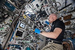 ISS-57 Alexander Gerst works in the Destiny lab (4).jpg