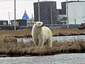 Wobrazowy napohlad za wersiju wot 21. měrca 2007, 23:36