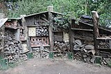 Insect Hotel, Heligan.jpg