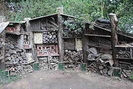 Beaucoup d'insectes logent ici (Heligan, Angleterre).