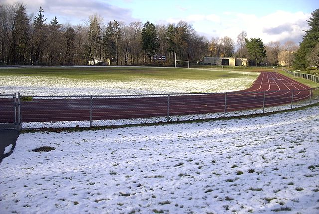 Field and track in early winter