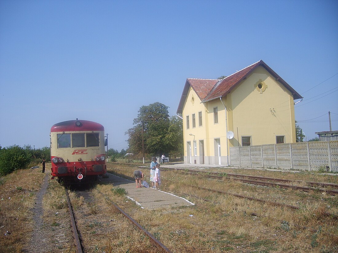 Jamu Mare, Timiș