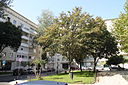 Jardim da Praça Pasteur 8907.jpg