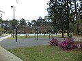 Basketball court and swings