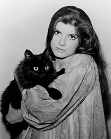 Katharine Ross 1966 photo with cat.jpg