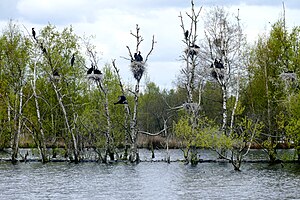 Emsland Twist: Geographie, Geschichte, Politik