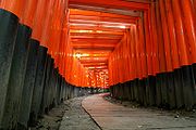 Duizenden torii bij het Fushimi Inari heiligdom in Kyoto