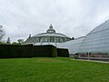 Laeken Royal Greenhouses (6).jpg